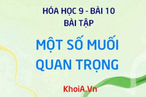 Bài tập về muối Natri clorua NaCl và Kali nitrat KNO3 - Hóa 9 bài 10